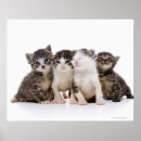 Recherche de japanese cat posters Cats