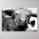 Recherche de texas longhorn posters Ouest