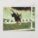 Recherche de comportement cartes postales Dog