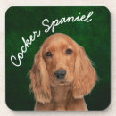Recherche de cocker spaniel dessous de verres Animaux domestiques