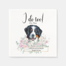 Recherche de bernese mountain dog Animal