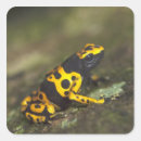 Recherche de couleurs vibrantes autocollants Jaune