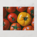 Recherche de farm cartes postales Harvest