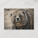 Recherche de ours gris cartes visite Mignon