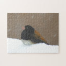 Recherche de moineau puzzles Junco aux yeux sombres