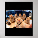 Zoek naar codeurs posters Grappig
