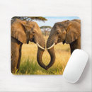 Recherche de la savane tapis souris Safari