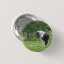 Recherche de cheval blanc noir badges Poney