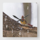 Recherche de tricolore horloges Faune