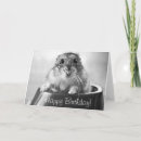 Zoek naar hamster kaarten Gelukkig