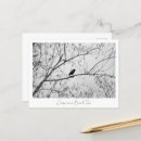 Recherche de birch cartes postales Arbre