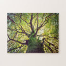 Recherche de racines puzzles Nature