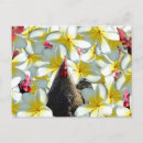 Recherche de coq cartes postales Fleurs