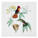 Recherche de natuur posters Vintage