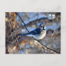 Recherche de timbre poste de nature Oiseau
