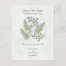 Recherche de feuille de fougère cartes postales Pour tous