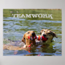 Recherche de natation art Chien