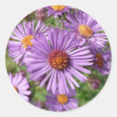 Recherche de fleurs sauvages autocollants Nature