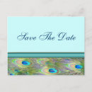 Recherche de paon turquoise invitations Bleu