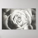 Recherche de stylo posters Encre