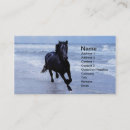 Recherche de étalon noir cartes visite Équine