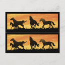 Recherche de mustang sauvage cartes postales Faune
