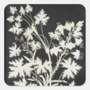 Recherche de philips autocollants Otto