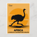 Recherche de ostrich cartes postales Vintage