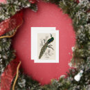 Recherche de histoire naturelle cartes postales Oiseaux