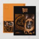Zoek naar witte herder briefkaarten Kerstmis