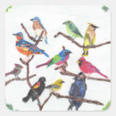Recherche de oiseaux chanteurs autocollants Pour tous
