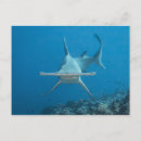 Recherche de monde sous marin cartes postales Océan