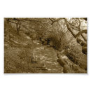 Recherche de banc parc posters Pittoresque