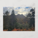 Recherche de sur le chemin cartes postales Automne