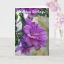 Recherche de rose de sharon Jardin