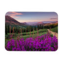 Recherche de butée magnets Nature