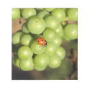 Recherche de de coccinelle blocsnotes Rouge