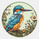 Recherche de martin pêcheur autocollants Illustration