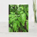 Zoek naar varens kaarten Deelneming