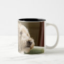 Recherche de fauteuil tasses Animal