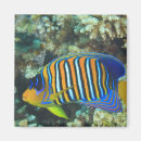 Recherche de animaux sous marins magnets Poisson