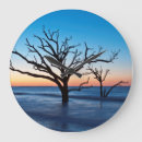 Zoek naar atlantisch klokken Milieu