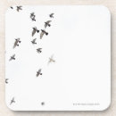 Zoek naar hemel onderzetters Vliegen