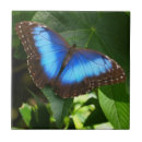Recherche de morpho carreaux Nature