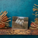Recherche de course plaques Cheval