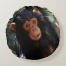 Recherche de chimpanzé coussins Animal
