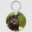 Zoek naar rottweiler hond sleutelhangers Foto