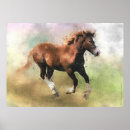 Recherche de petit galop posters Chevaux