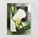 Recherche de saint esprit cartes postales Foi