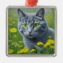 Recherche de chat gris ornements Contenu générationnel
